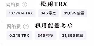 本联盟开启波场能量租赁服务 第1张图